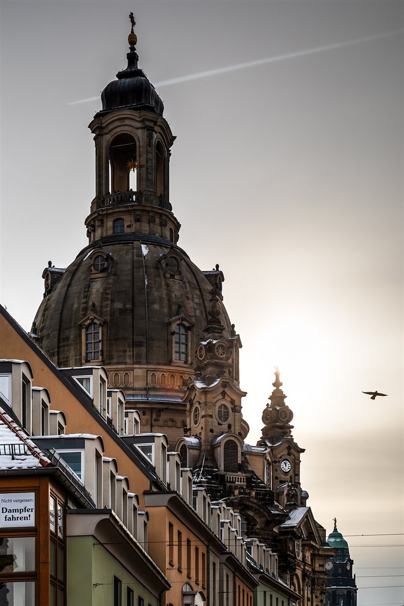 The dome and lantern of the Frauenkirche in Dresden rising above the rooftops of the old town in winter light, with a lit Moravian star hanging inside the open lantern and a bird in flight to the right