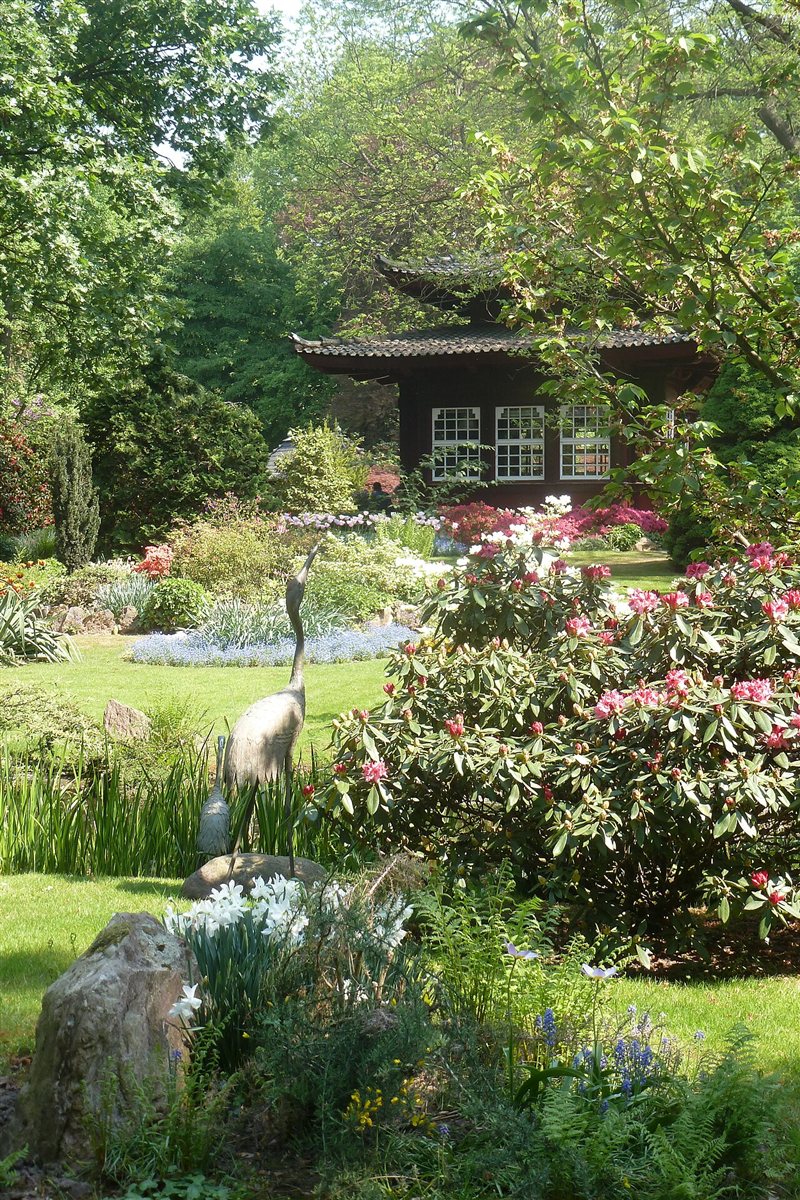 The Japanese Garden in Leverkusen: a dark wooden tea house with a tiled pagoda roof behind flowering rhododendrons, bronze crane sculptures standing in the grass beside a pond